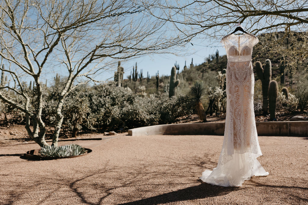 Arizona Wedding at Desert Botanical Gardens